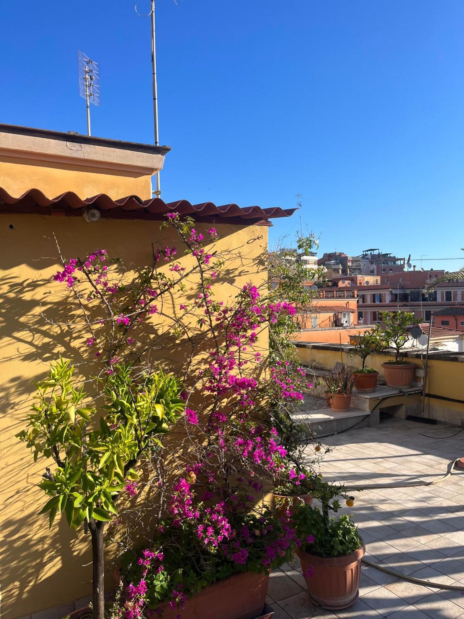 Apartment Cozy Monteverde Vecchio Trastevere Rom
